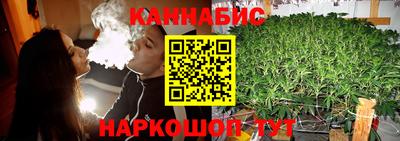 крисы Лесосибирск