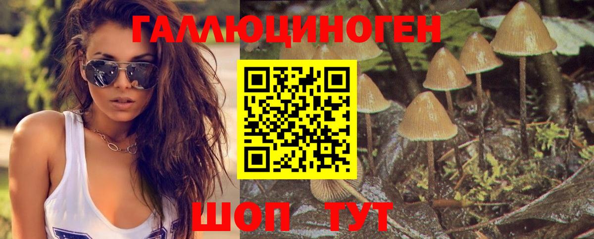 Псилоцибиновые грибы Cubensis  Вход с VPN  Гусиноозёрск  Галлюциногенные грибы Cubensis 